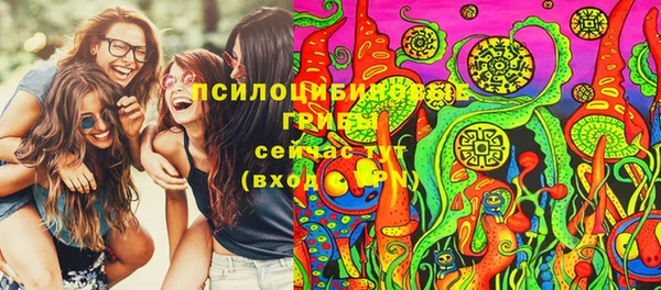 прущая мука Абаза